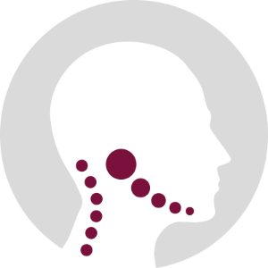 Icon für die Kopf- und Kiefergelenkbehandlung mittels schematischer Darstellung eines Kopfes und den zentralen Behandlungspunkten