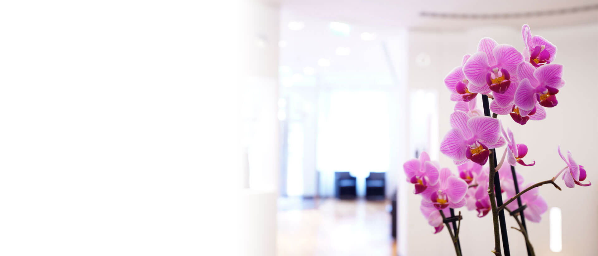 Foto von Blumen im Eingangsbereich der Praxis