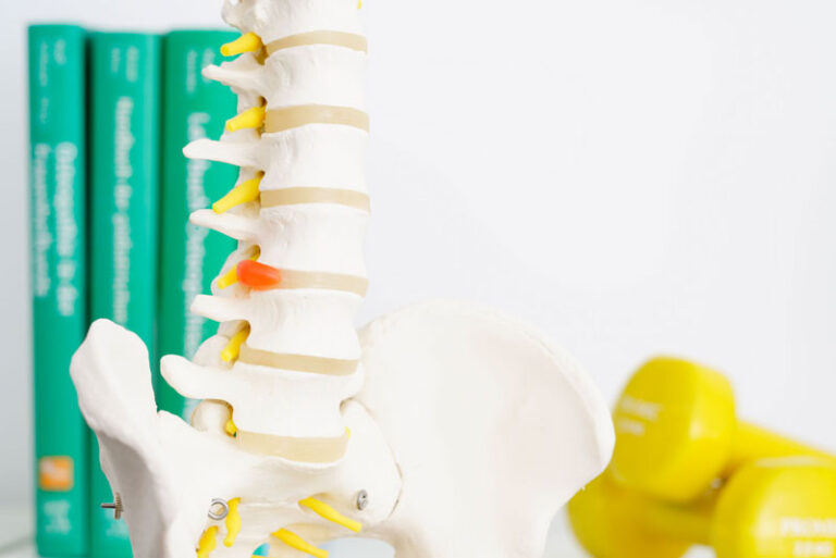 Skelett und Bücher für Wissenswertes