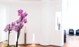 Foto von einer Blume im Eingangsbereich der Praxis